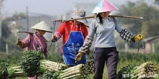 农村这4种小生意，很适合留守妇女做，成本不高，收入却挺不错(三)