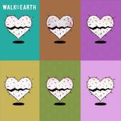 My Stupid Heart(Walk Off the Earth)