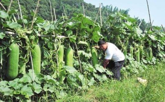 40个偏门冷门生意选择哪一个更有市场?