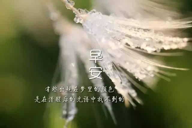 周末早安发朋友圈说说