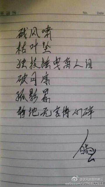 累丑是什么意思网络用语