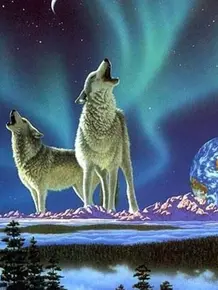 高清狼壁纸 头条搜索