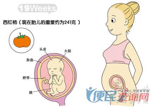 产检胎儿发育偏小一周正常吗
