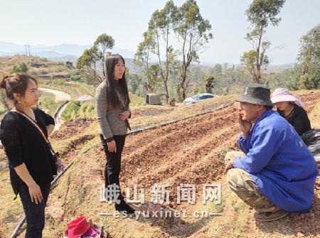 县计生协到甸中镇调研计生意外保险工作