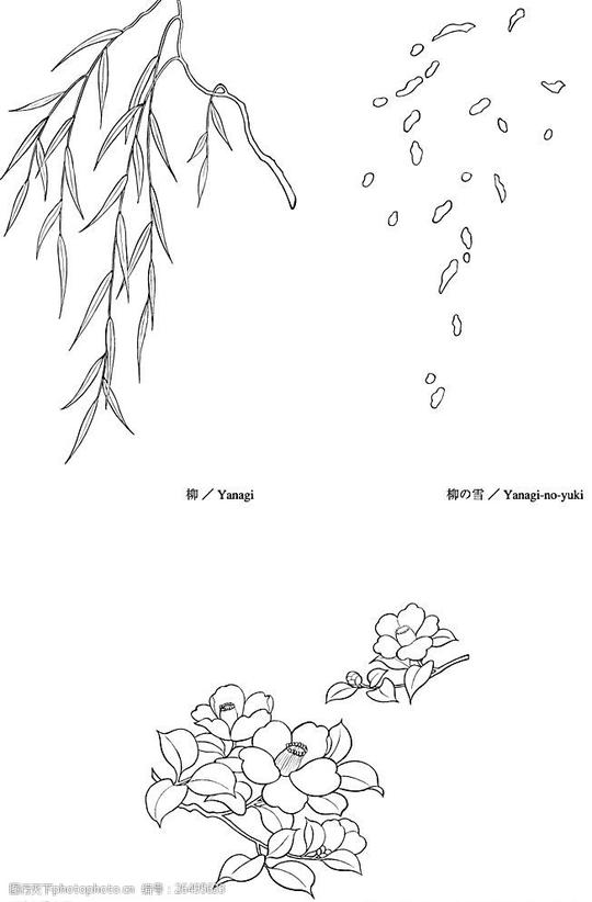 线描柳柳絮椿矢量素材图片