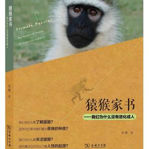 猿猴家书——我们为什么没有进化成人