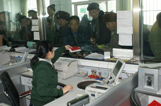 八家户农场农村信用社为农户开通贷款绿色通道