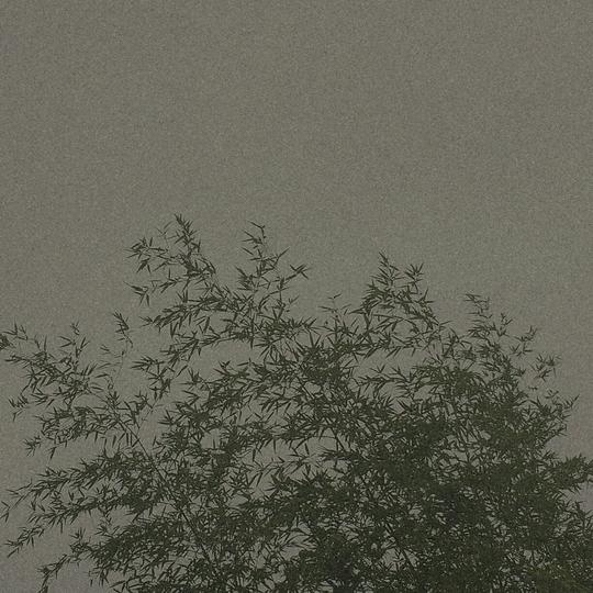 二呆辞摄影手写背景图简单图主页图空间素材/壁纸景色酷很