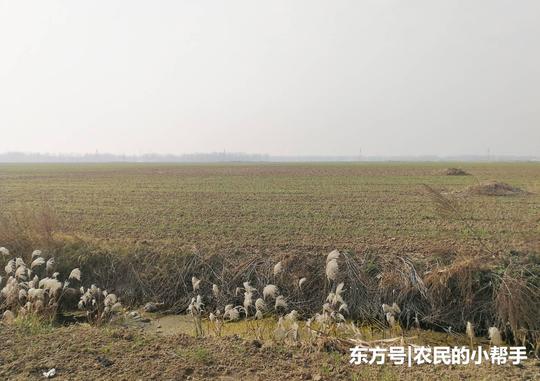农村人在家种地挣钱还是外出打工挣钱?二者相比哪种更