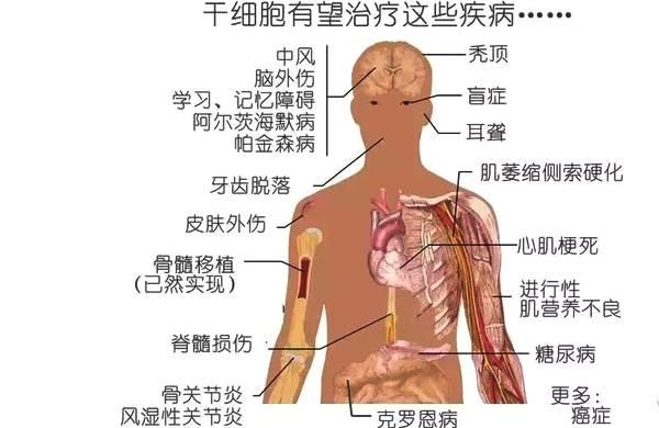 想让宝宝有一口好牙