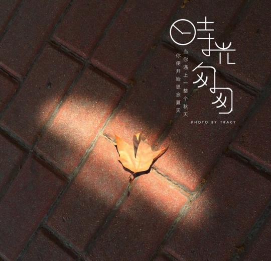 朋友圈背景墙头像文字意境时光匆匆