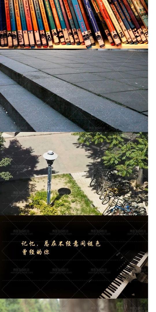 校园空镜头大学校毕业图书馆青春离别回忆唯美树荫mp4视频素材商品详情图