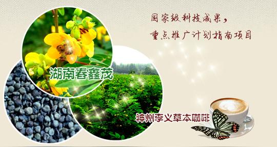 草本咖啡herbcoffee