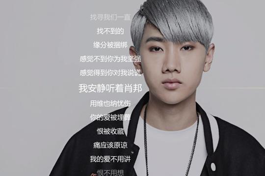 抖音我安静听着肖邦用维也纳忧伤是什么歌完整版歌词