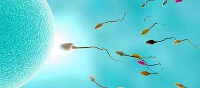 孩子游泳溺水怎么办