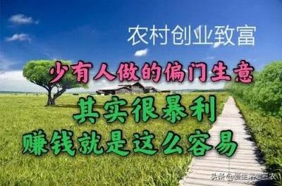 捞偏门日赚一万的生意(最挣钱没人干的行业推荐)(图1)