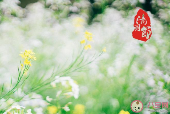 下列哪一项是元宵节的别称蚂蚁庄园