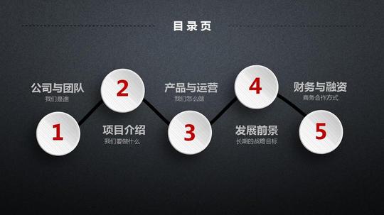 青年大学生创业创客众筹融资投资策划计划书项目演示推广投资合作公司