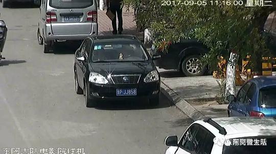 【本地头条】东阿曝光违章停车,赶快看看有你吗!