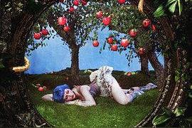 Panic Attacks in Paradise(Ashnikko)