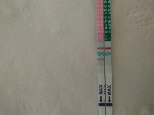 排卵试纸vs早孕试纸的用法
