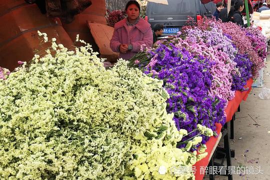 蓝田庙会鲜花论斤卖1斤5元生意火
