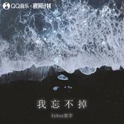我忘不掉(Zyboy忠宇)