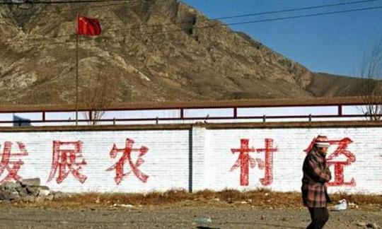 2019年回农村准备干啥?看看这个项目,投资少又赚钱