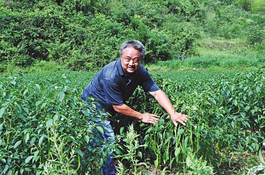 一个贫困户两次创业蹚出致富路·重庆日报农村版