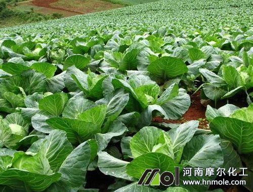 混合喂养可按规律喂食