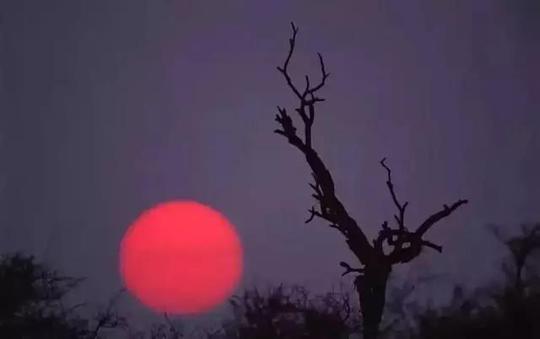 【故事】七个灵异故事之:黄大仙十五月圆之夜拜月