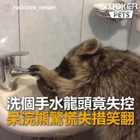 原创搞笑短视频做你身边的段子手-新浪看点