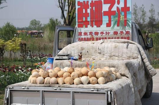 一天下来可以卖很多,这样的生意适合农村人创业,不比种地和打工差.