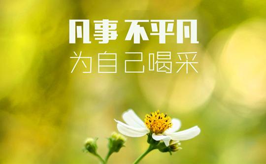 创业励志说说创业者人生感悟的话