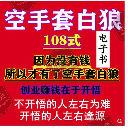 空手套白狼108式副业项目赚钱商业模式空手道白手起家新创业项目