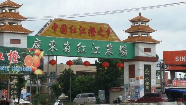 吃变异水果的危害
