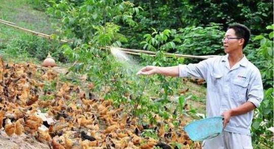 如果回农村老家创业，办个什么厂比较赚钱?建议收藏做参考