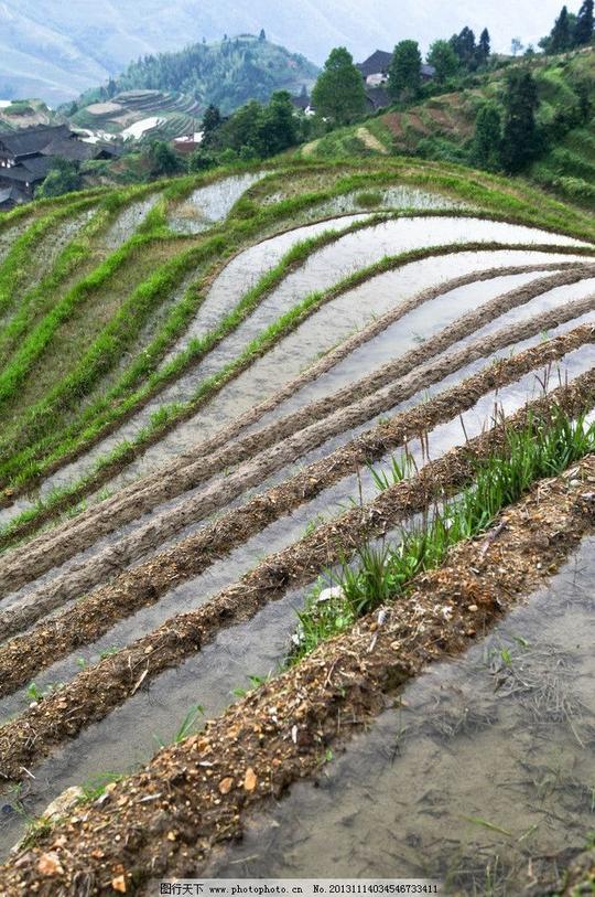 梯田农田田地水田稻田种植农业蓄水山区土地摄影