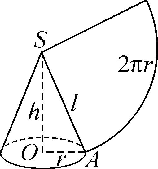 沿圆锥的母线剪开一个圆锥(事先做好的纸质圆锥)观察它的侧面展开图