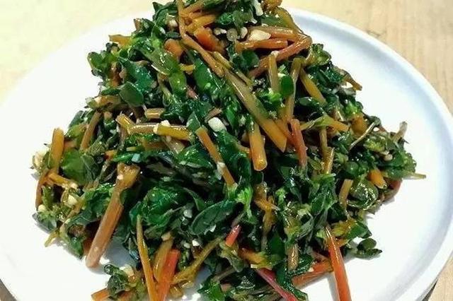 野菜马齿苋凉拌