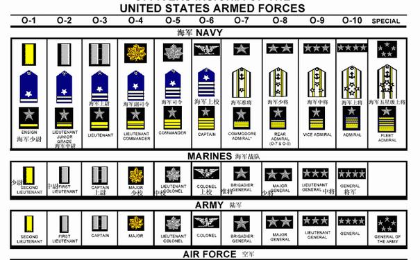 美国陆军军衔图解图片