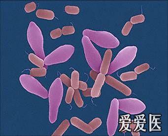 新生儿败血症怎么治疗最好