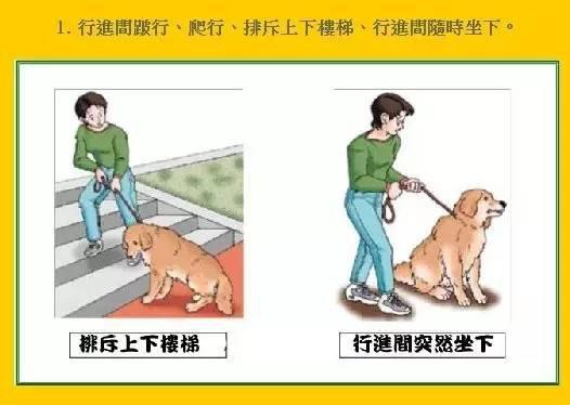 4个月宝宝髋关节发育不良怎么办