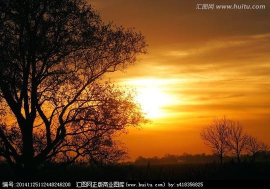 >景观日落树木傍晚的天空余辉黄昏村橙大气气氛浪漫美丽金背景素材