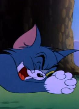 精选儿童搞笑动画片,让您孩子乐不停
