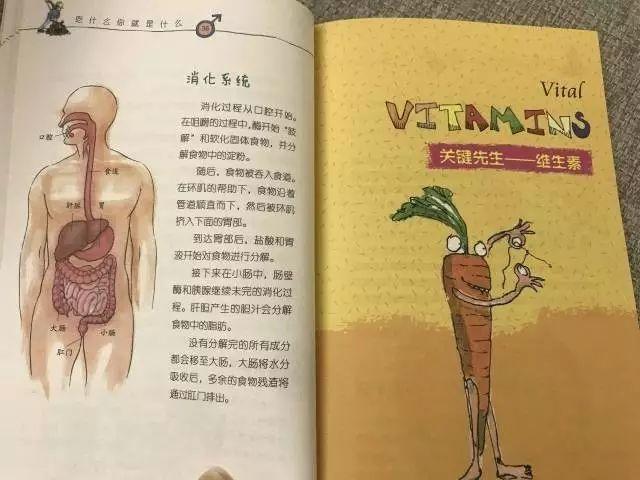 怎么从小教育孩子性教育