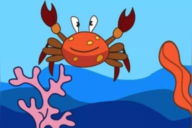 孤独的小螃蟹有哪些朋友？