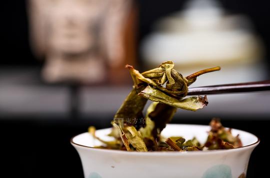 【东方写艺】淘宝产品摄影-漳平水仙茶冻茶茶叶