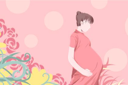 女人怀孕过有哪些特征