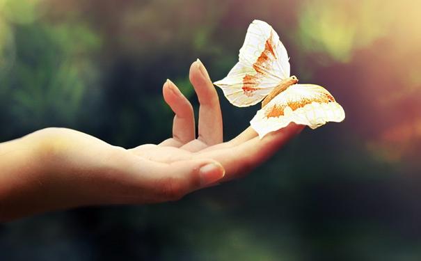 热爱打动人心的句子,热爱生活珍惜拥有的唯美句子?-语录网